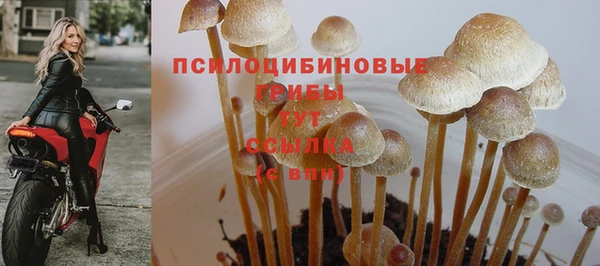 соль курить ск Верея
