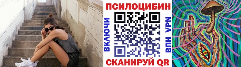 купить наркотик  Гурьевск  Галлюциногенные грибы Cubensis 